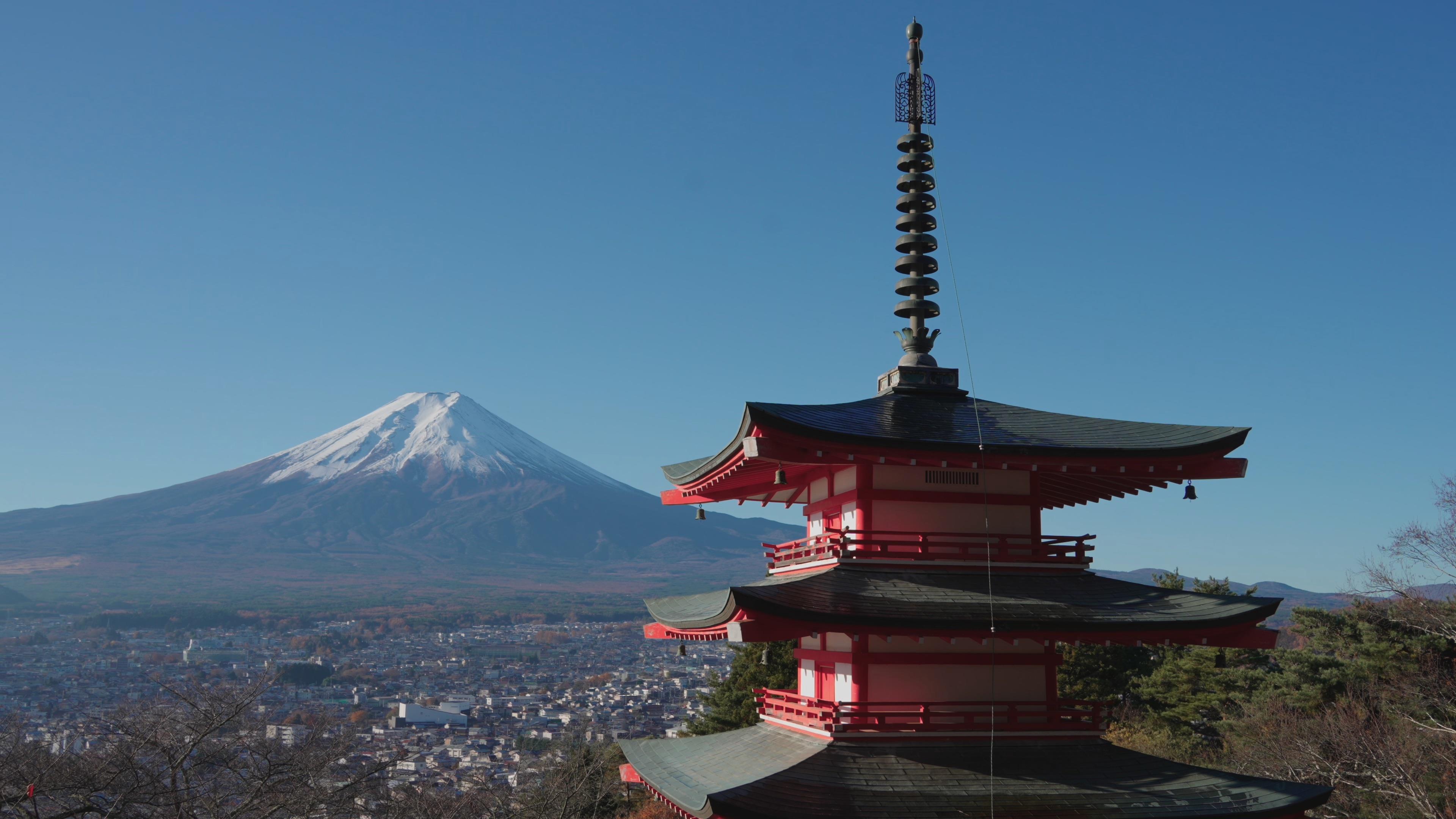 日本大学扩招40万！中国家庭留学性价比天花板来了！